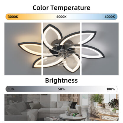Acrylic Ceiling Fan - Image 3