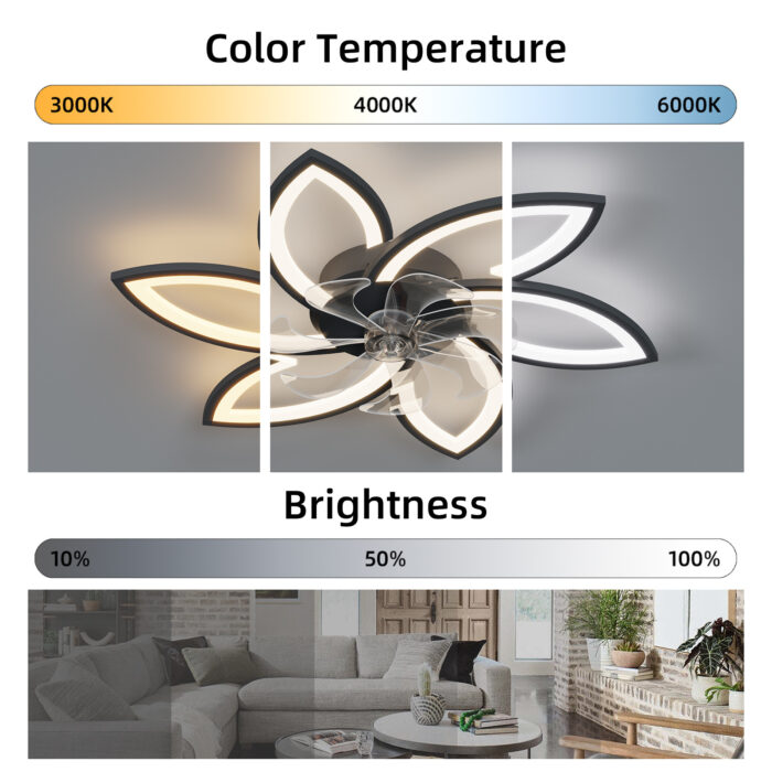 Acrylic Ceiling Fan - Image 3