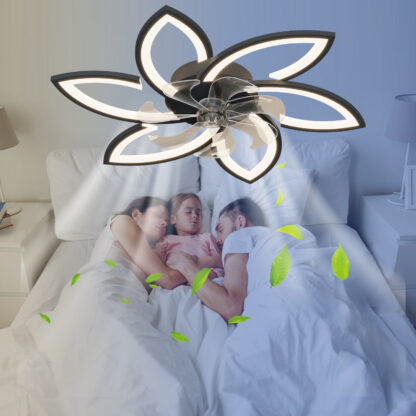Acrylic Ceiling Fan - Image 2