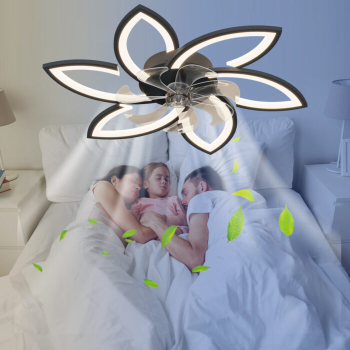 Acrylic Ceiling Fan - Image 2