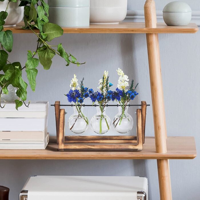 1Pc Desktop Glass Planter Bulb Plant Terrarium With Wooden Stand Air Planter Glass Vase Metal Swivel Plant Vase For Hydroponics - Image 10